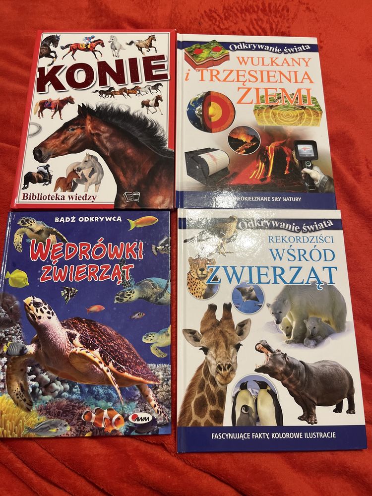 Zestaw kduazek konie zwierzeta wulkany ziemia