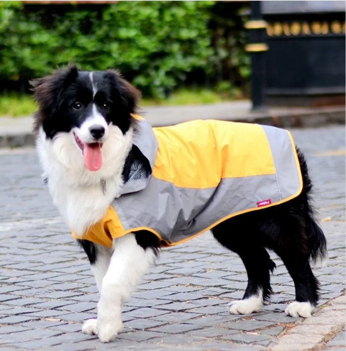 Wodoodporna kurtka z kapturem dla psa L