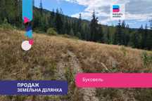 Земельна ділянка 30 соток під житлову забудову в с. Поляниця