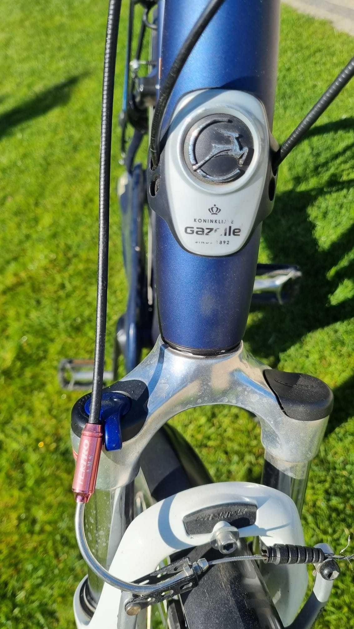 Rower  Gazelle chamonix lite