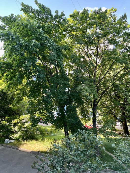 ‼️Найкраща пропозиція в ЦЕНТРІ кімната для студенток‼️