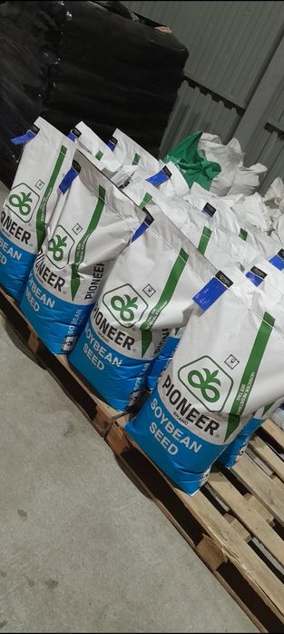 ''PIONER серія''А'' Elit  USA Соя посівна ГМО насіння сої на посів