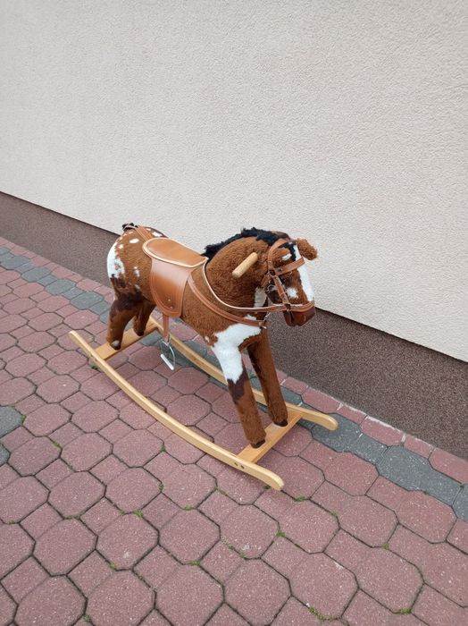 Konik Koń na biegunach