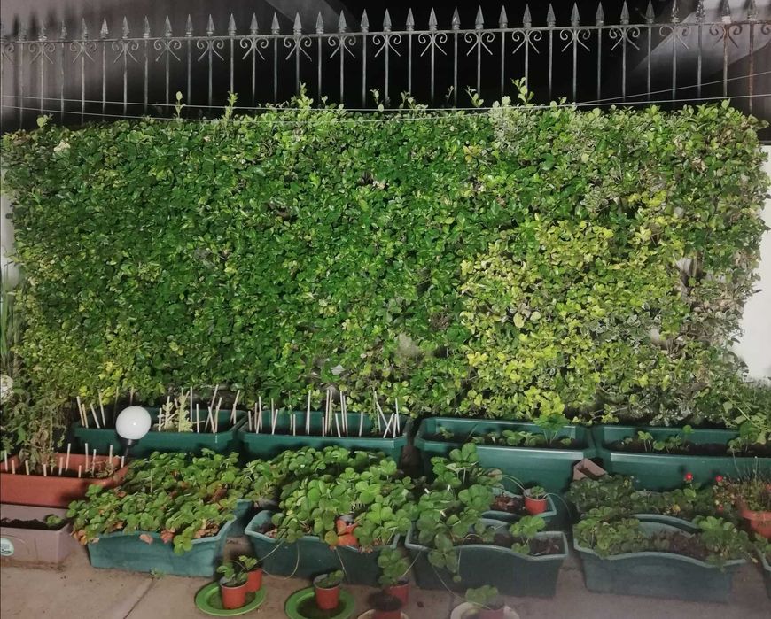 Iluminação - Projetor 3200 W, portátil, luz branca