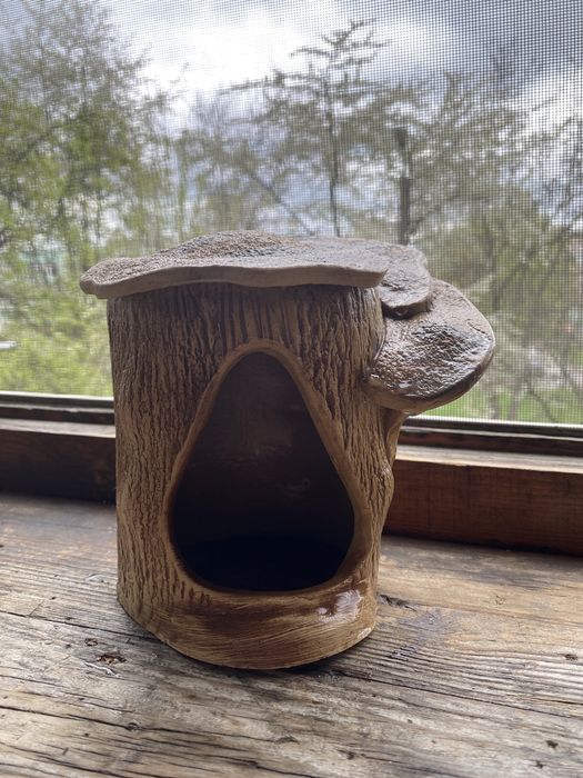 берег для черепашки в акваріум