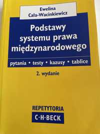 Podstawy systemu prawa międzynardowego Ewelina Cała - Wacinkiewicz