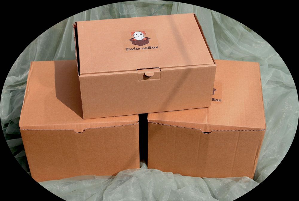 ZwierzoBox – zestaw kula, mata węchowa i szarpak dla psa