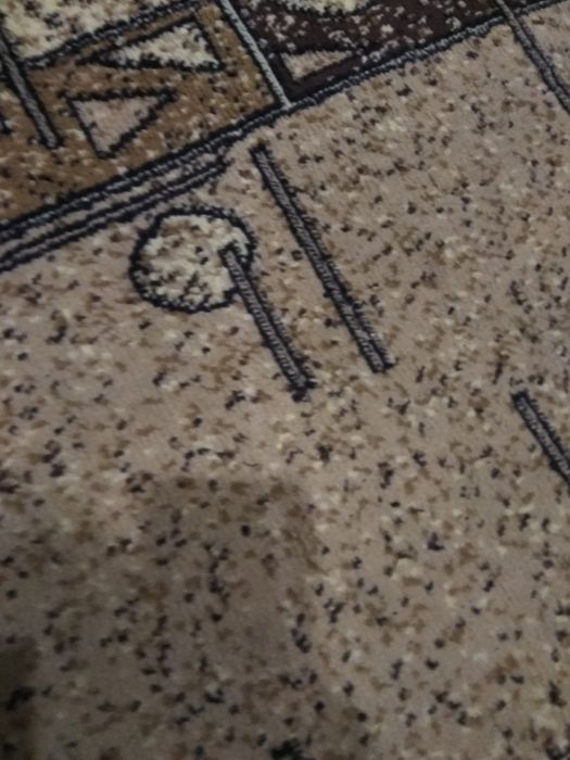 Продам ковровую дорожку.