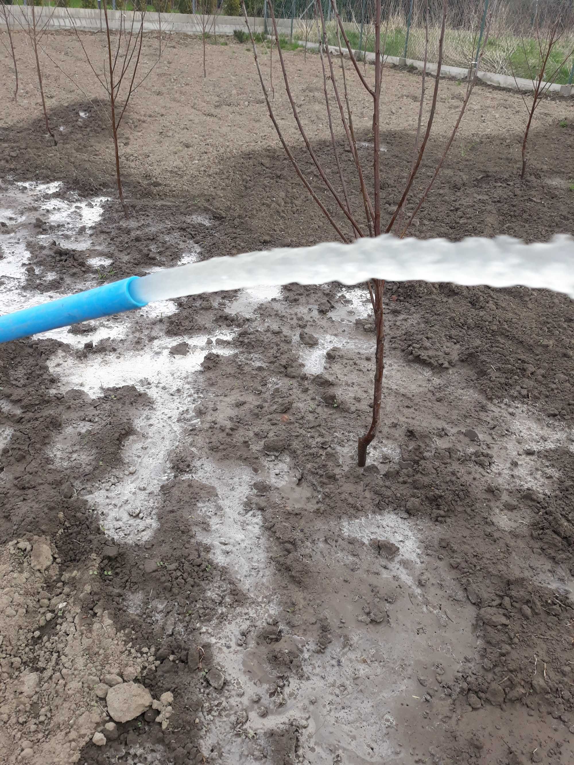 Wiercenie studni głębinowych, studnia do ogrodu, studnia abisynka.