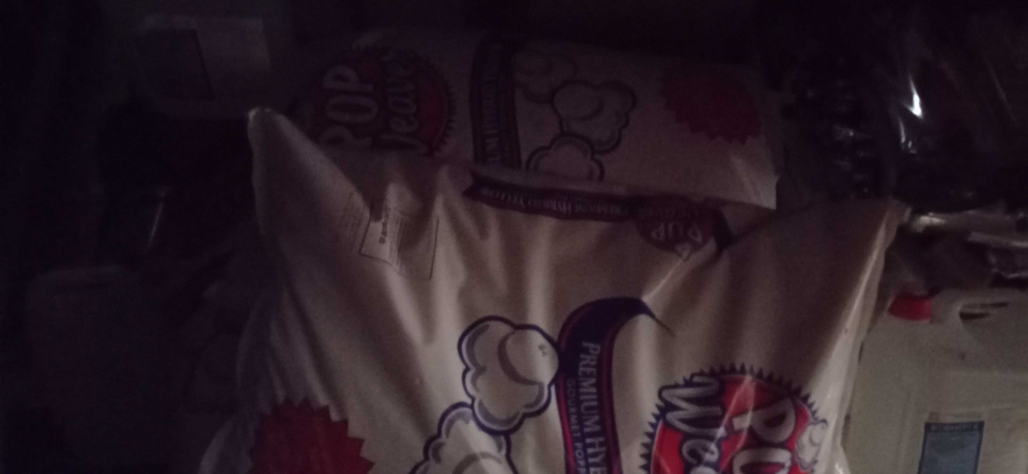kukurydza popcorn ziarno