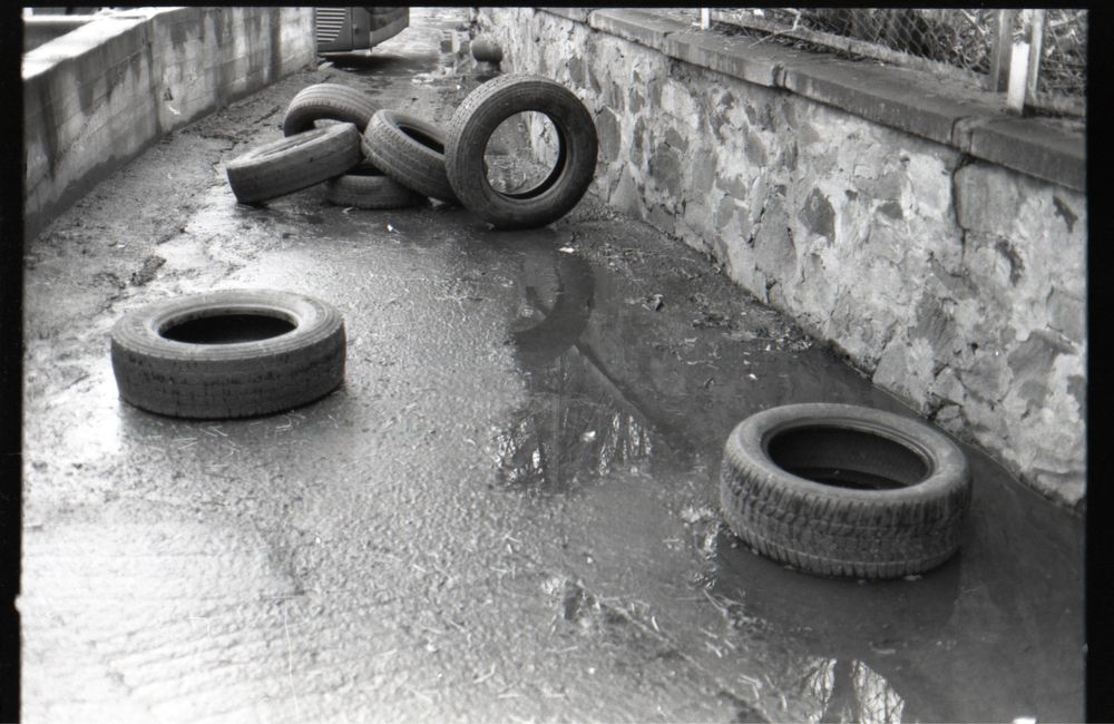 Konica Autoreflex TC з Hexanon 40mm f1.8