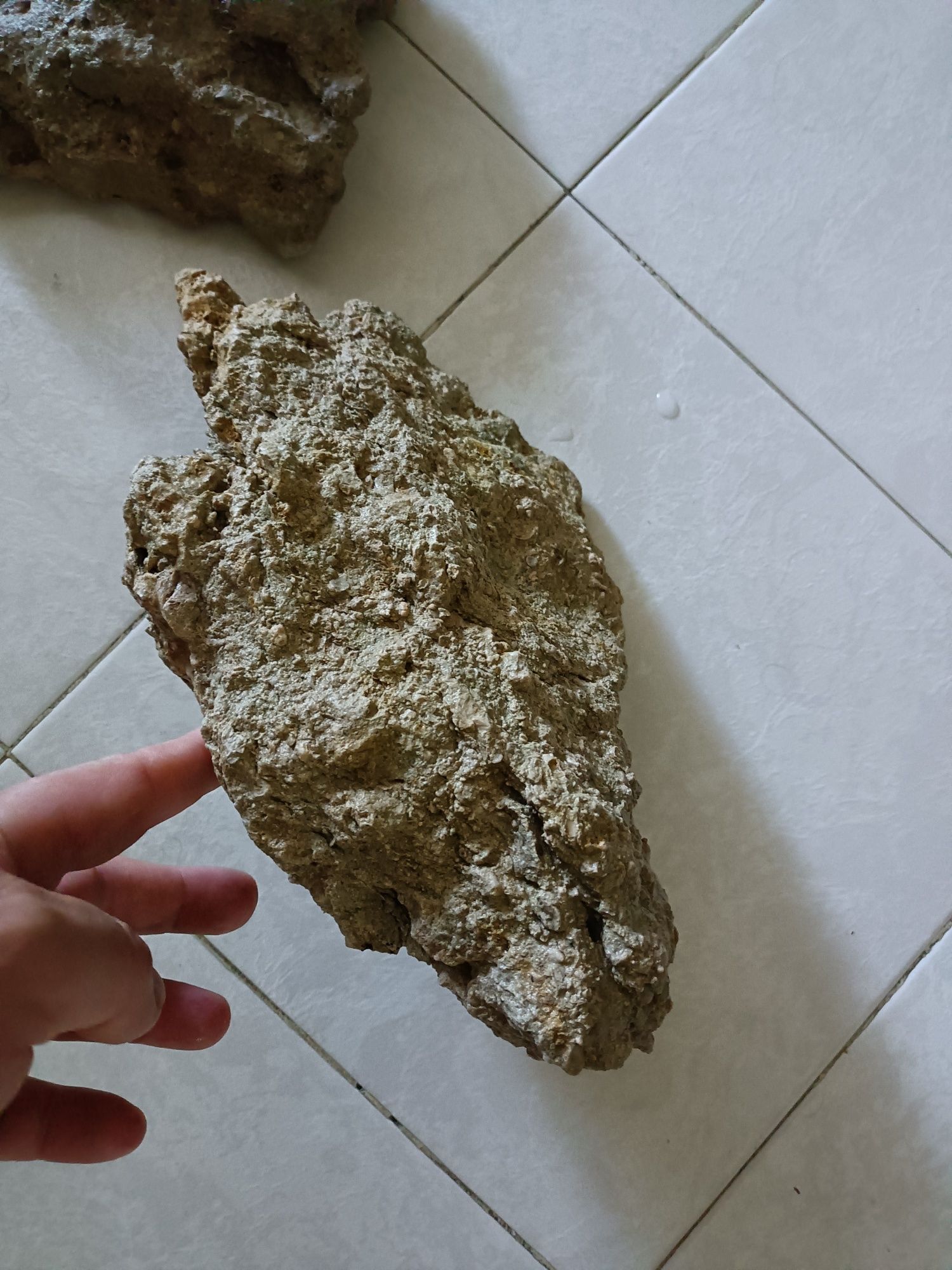 Rochas para aquário