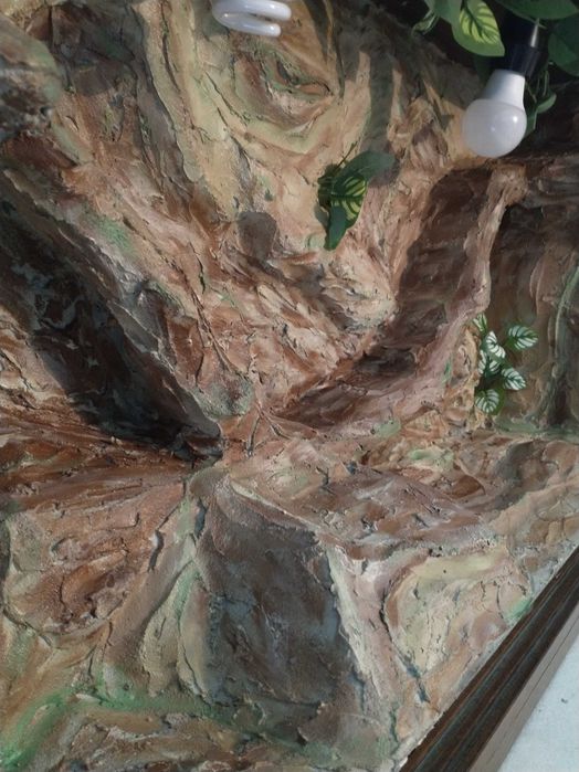 Terrarium zestaw 100x54x30