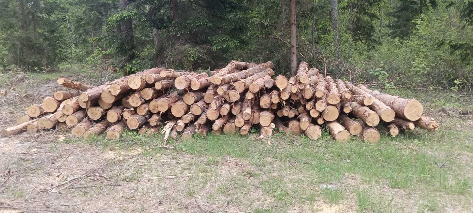 Продам дрова довжина від 2,0-4,0 м. сосна.