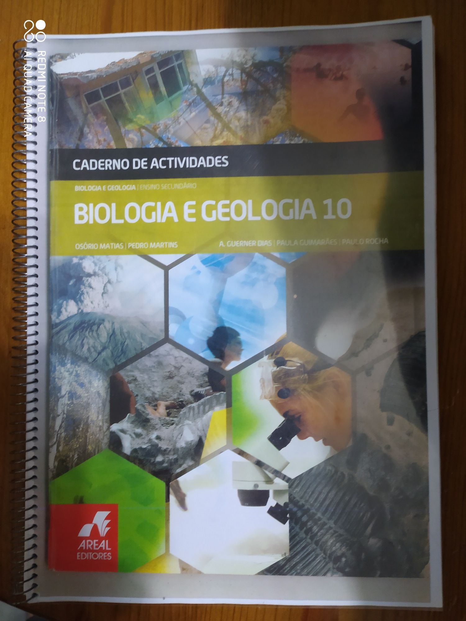 Manuais a cadernos atividades 10 ano