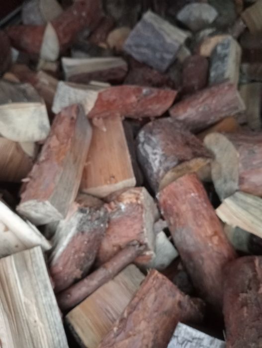 Drzewo opałowe sosnowe