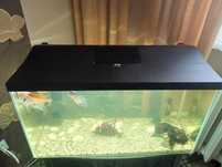 Akwarium 105l AQUAEL