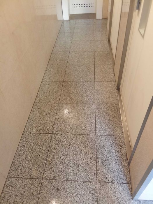 Limpeza profissional em escritório, empresa e condomínios