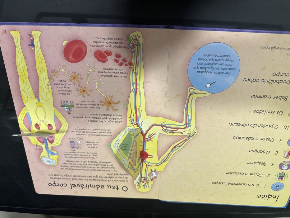 Espreita o Atlas e Espreita o Teu Corpo