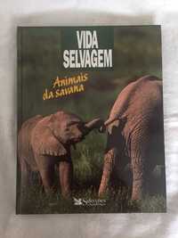 Vida selvagem - animais da savana