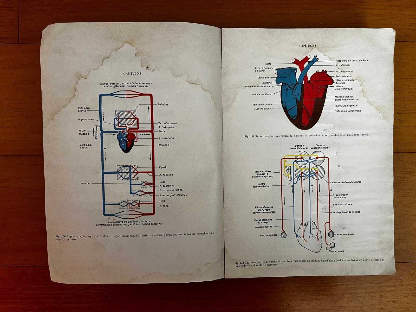 Fisiologia Veterinária