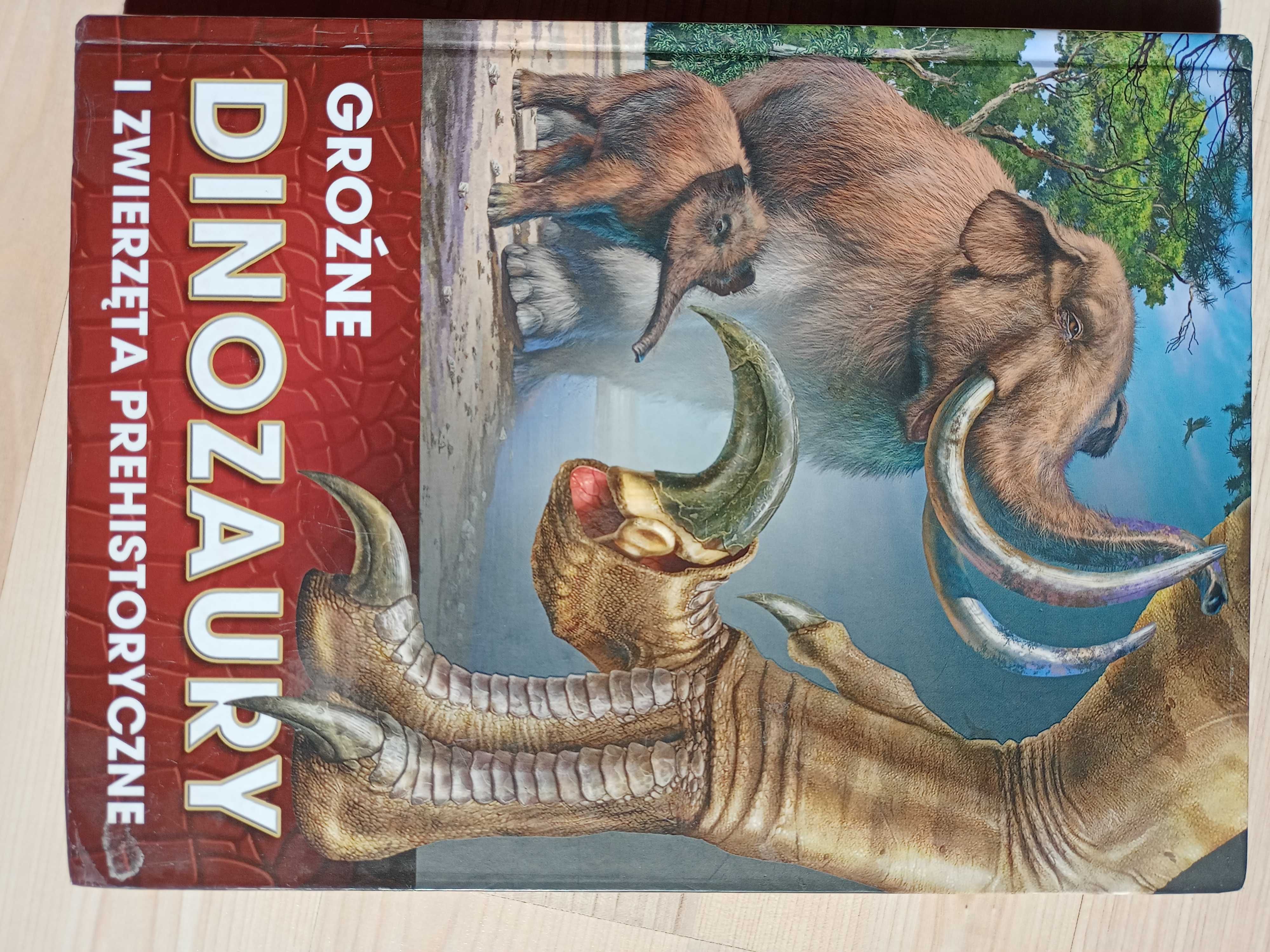 Książki i puzzle o tematyce dinozaurów