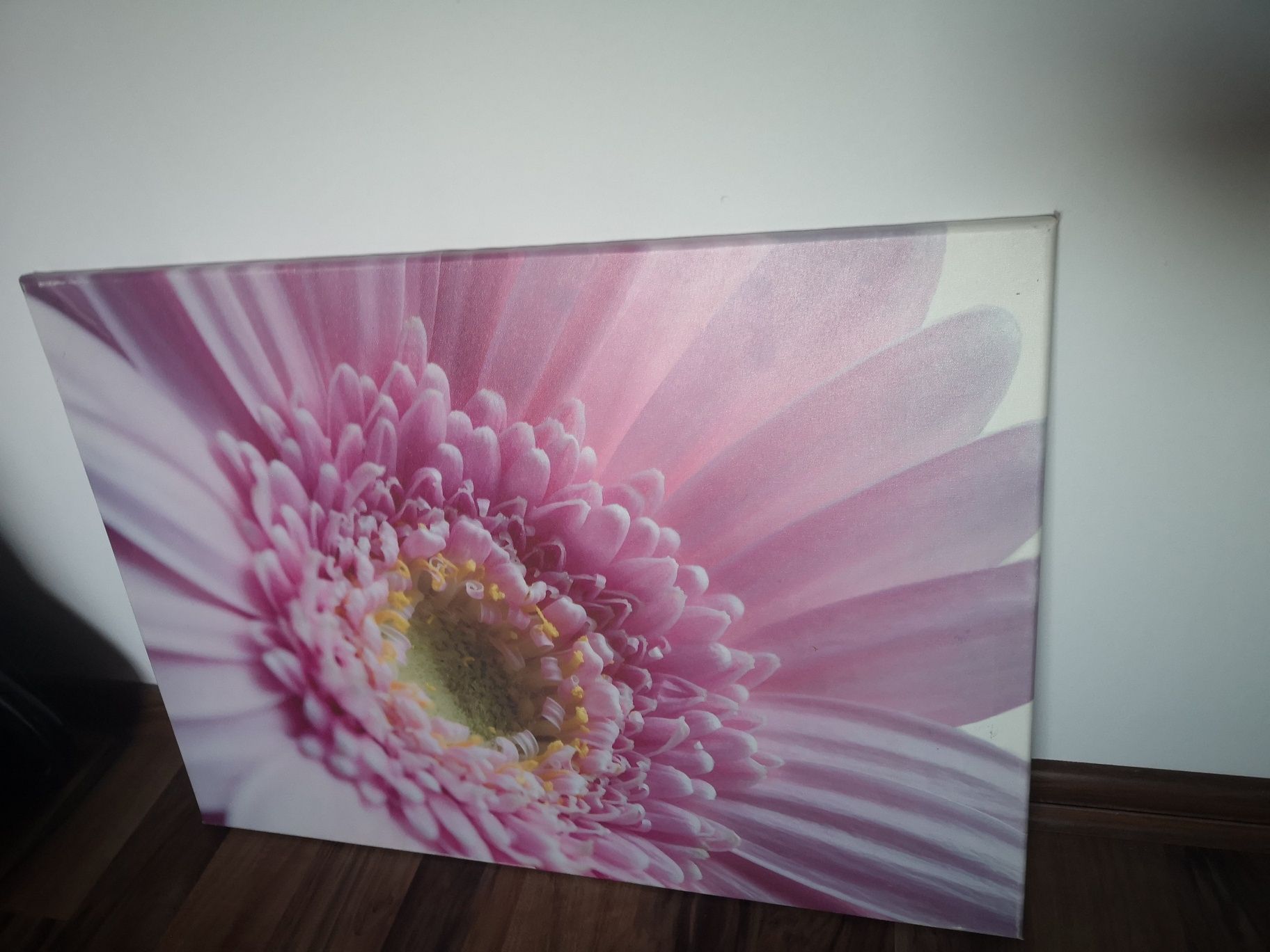 Obraz kwiaty 50x70