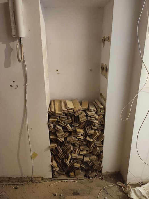 Oddam stary parkiet za darmo