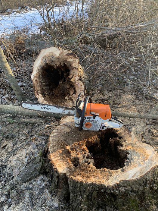 Очистка участков, спил деревьев,вывоз веток,вспашка земли,покос травы.
