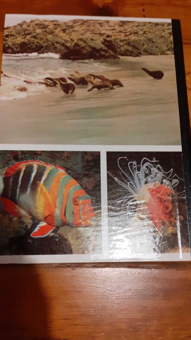 Livro com lindas fotografias