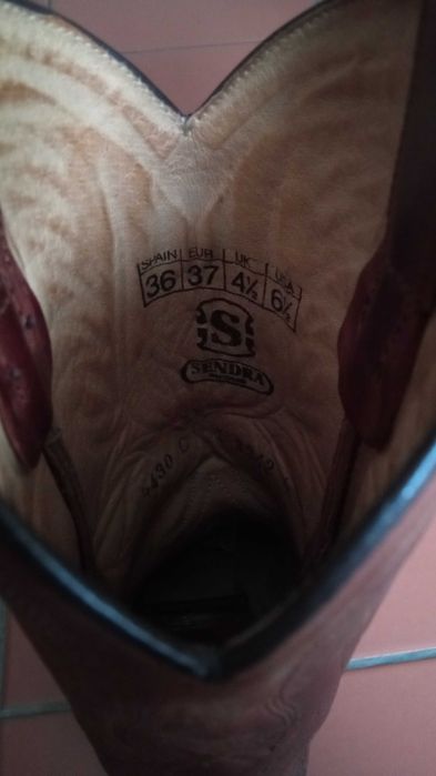 Sendra texanas 37