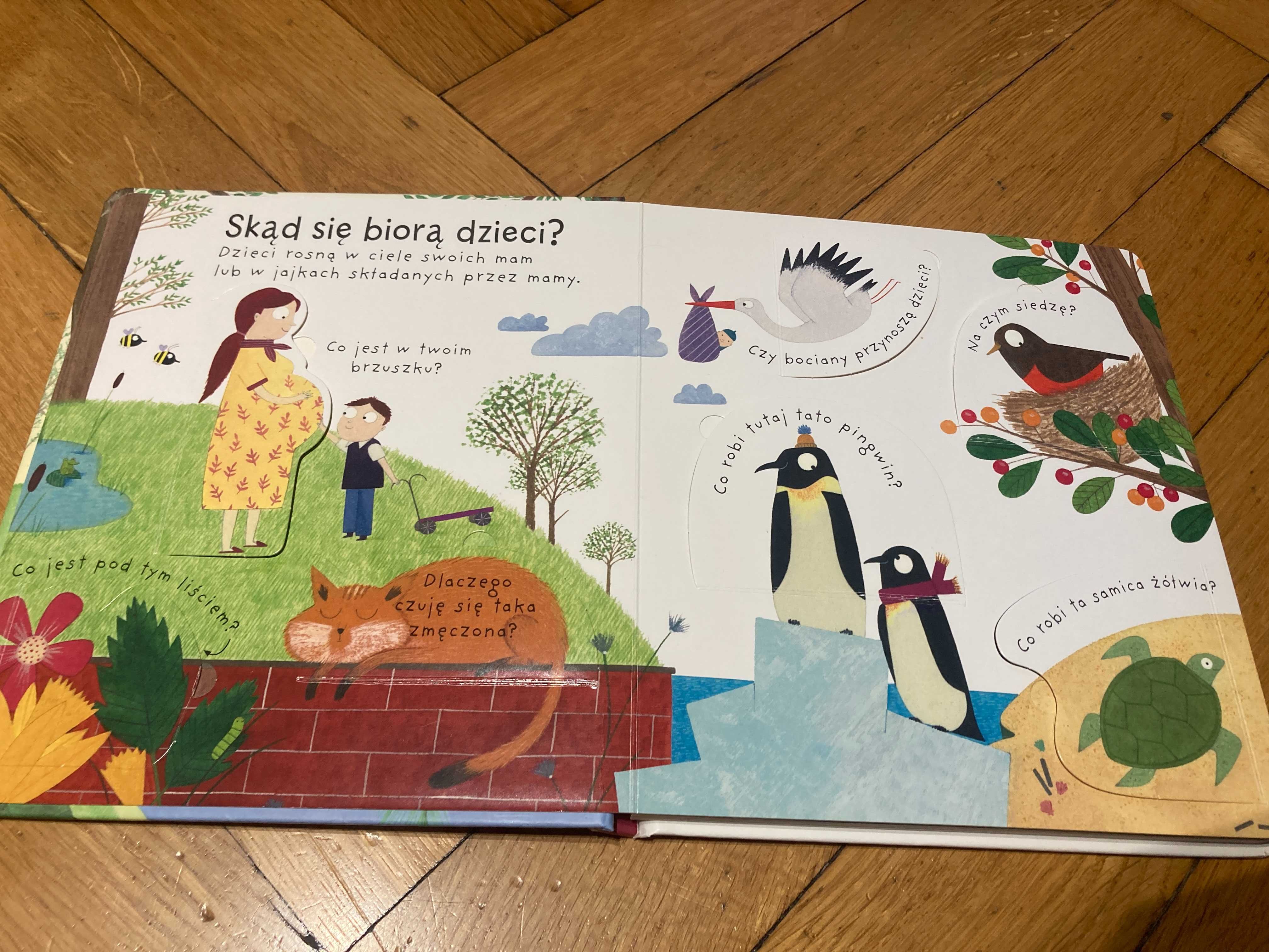 USBORNE Ważne pytania: Skąd się biorą dzieci oraz Jak widzimy?