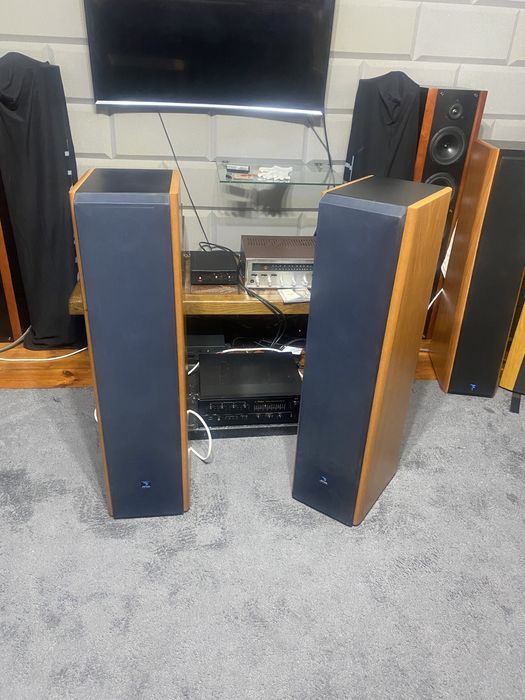 Focal Jm Lab Electra 915.1