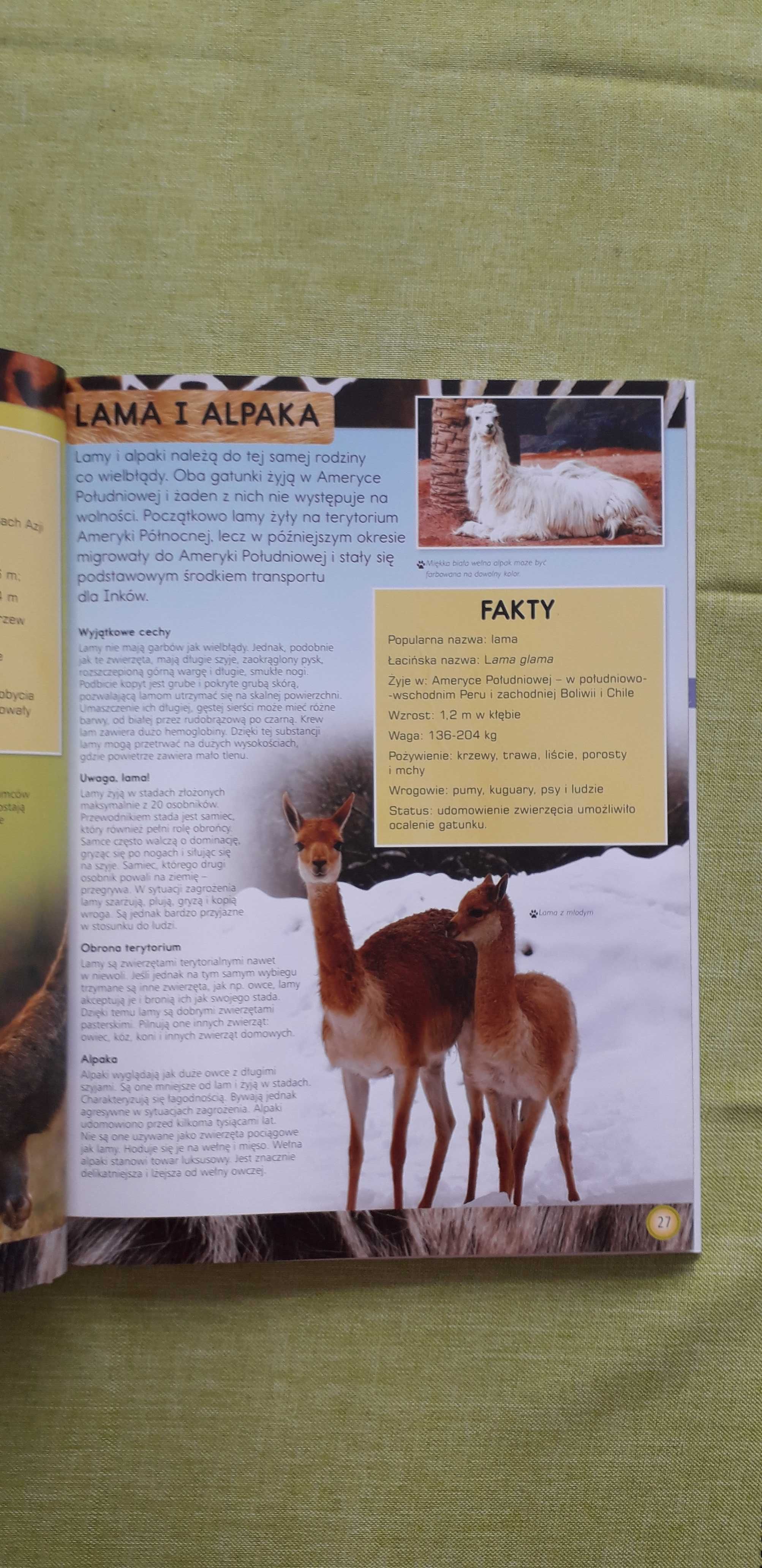 Encyklopedia najmłodszych, Świat zwierząt