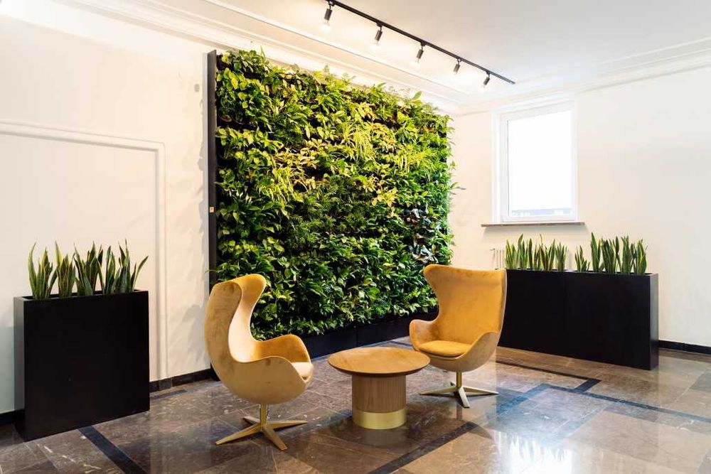ZIELONA ŚCIANA ogród wertykalny DONICE żywe rośliny MECH CHROBOTEK