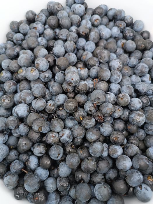 Tarnina owoce, śliwa tarnina