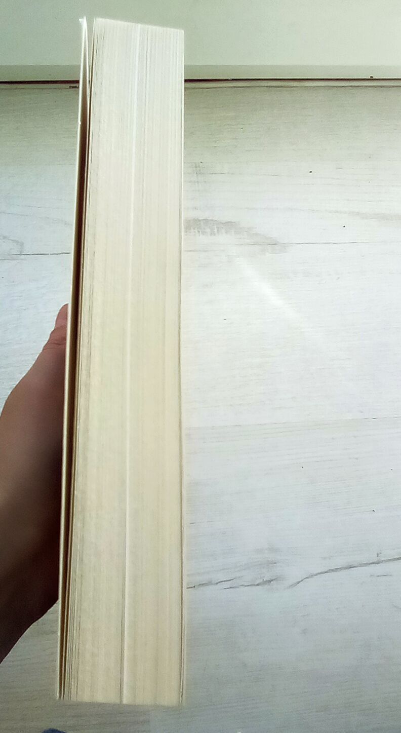 Książka "Surogatka. Jak moja mama urodziła mi syna" Sara Connell