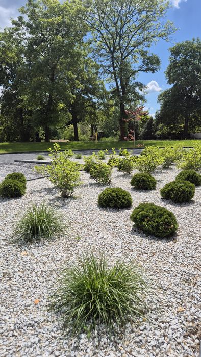 Kompleksowe zakładanie i pielęgnacja ogrodów