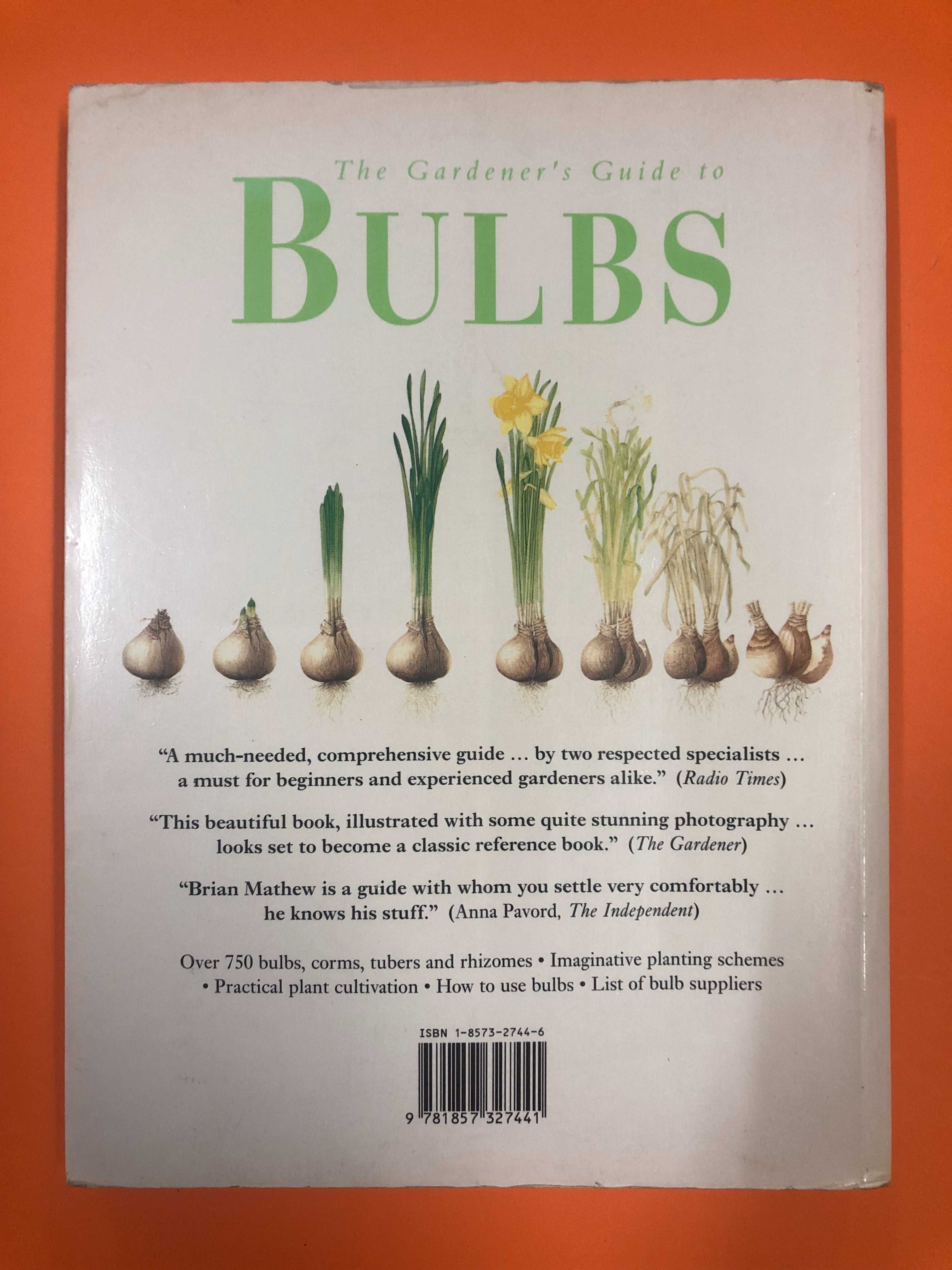 Botânica : Bulbs – The gardener’s guide