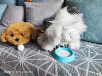 Interaktywne kotek Lili i piesek Tuluś z serii Little Live Pets