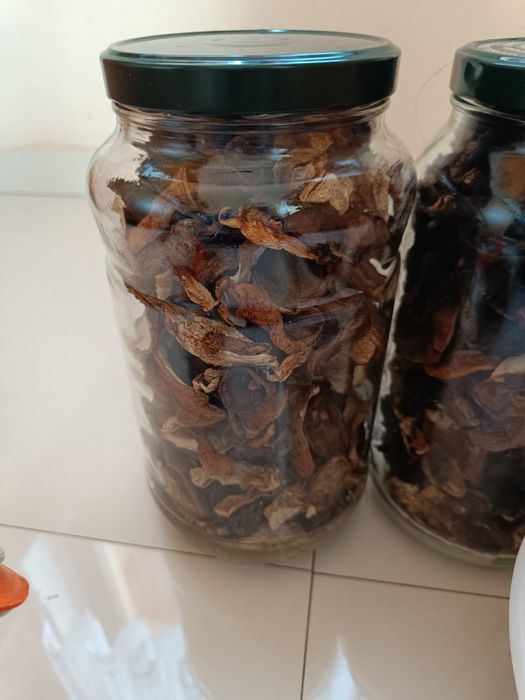 Suszone grzyby tegoroczne