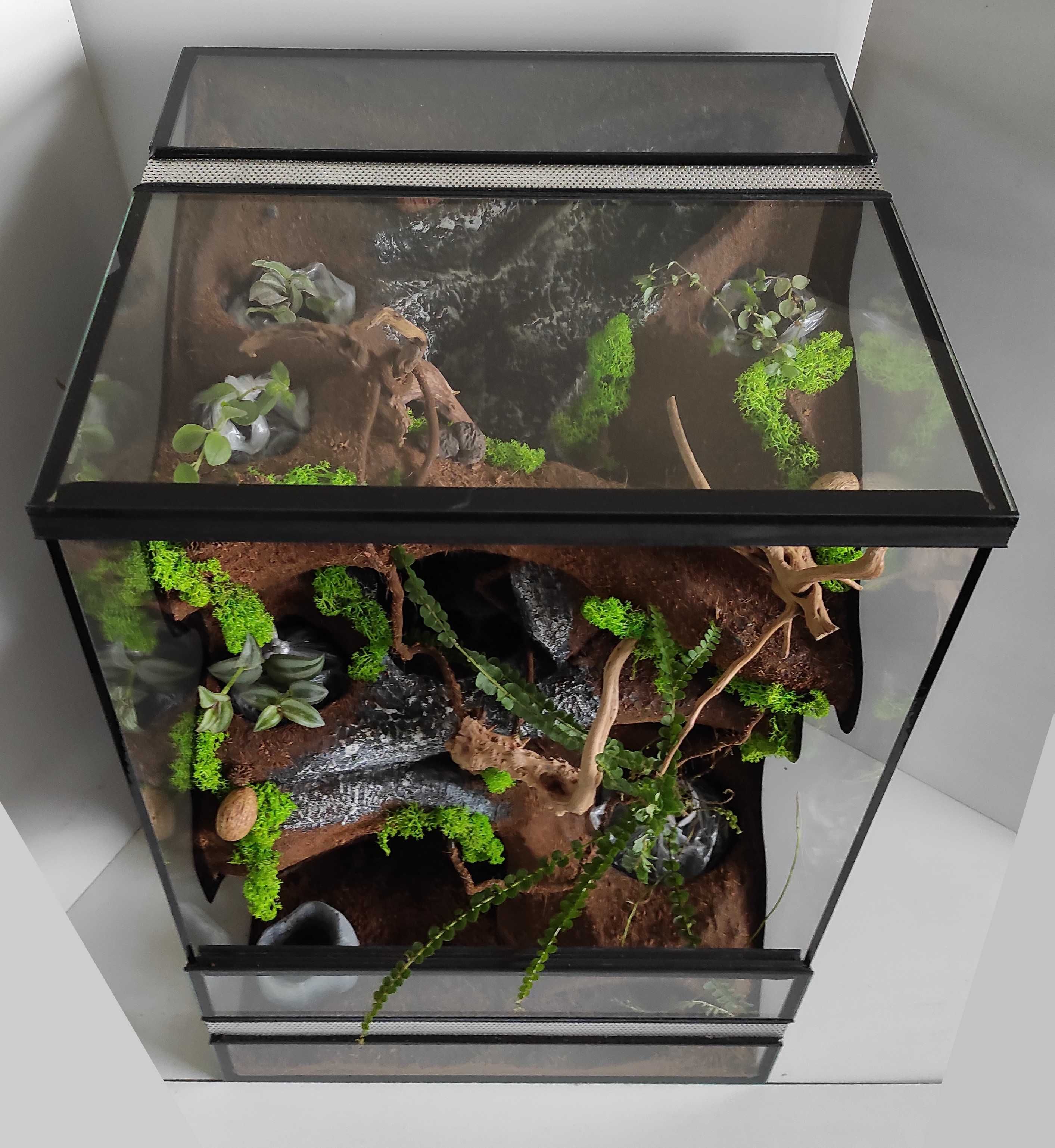 Terrarium tropikalne z wodospadem gekona orzęsionego, TW47FO AquaWaves