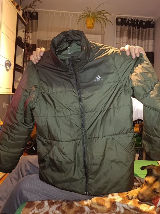 Kurtka męska jesienna adidas