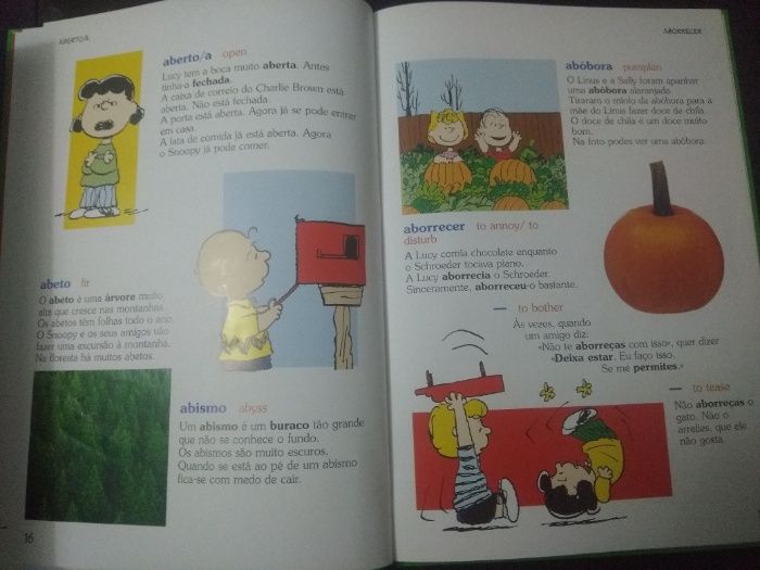 Dicionário Português-Inglês do Charlie Brown - Coleção de 15 livros