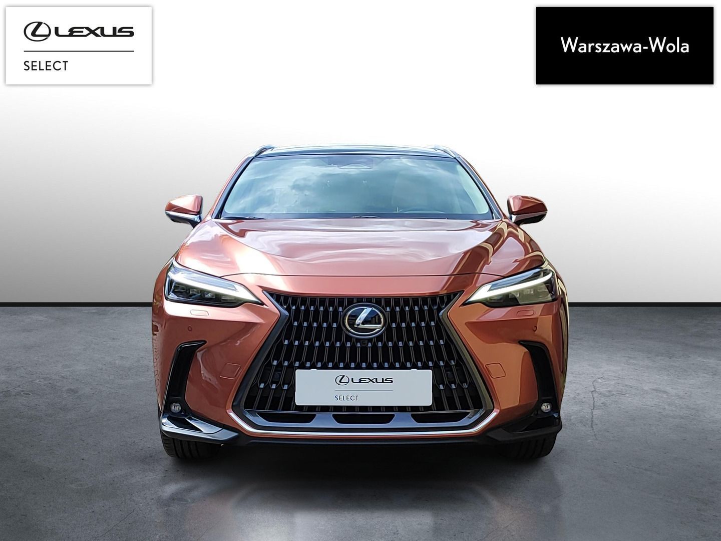 Lexus NX Lexus NX350H OMOTENASHI+M.Levinson+Panorama,Salon PL,Serwis ASO