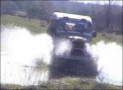 продається бойовий кінь!