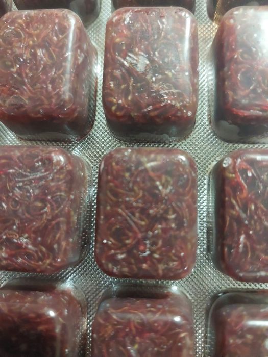 Sprzedam mieczyki , neony, pokarm
Neon - 3zl
Pokarm mrożony fi