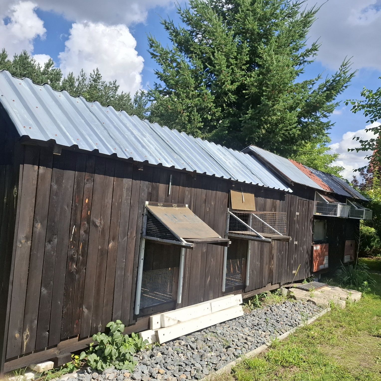 Gołębnik 11x1.8m