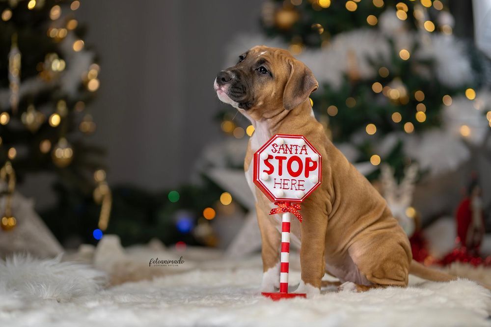 Cudowna Gwiazdeczka czeka na Ciebie