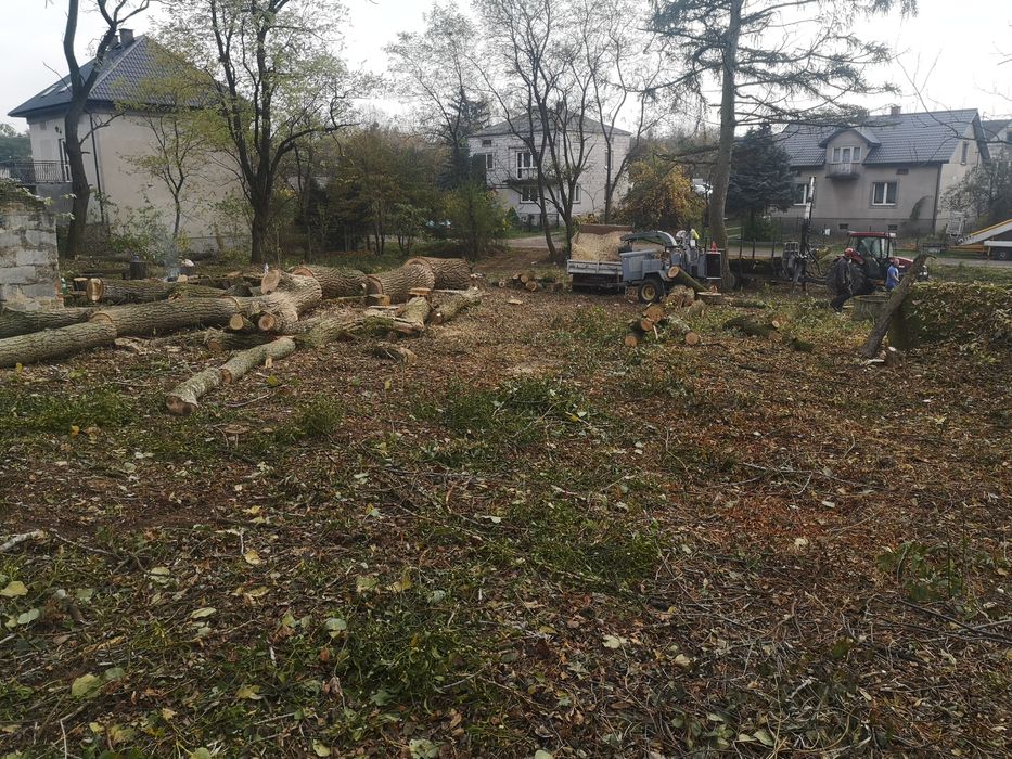 Kompleksowa wycinka i pielęgnacja • Zadbamy o Twój teren!